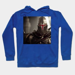 Knights Templar in The Holy Land Hoodie